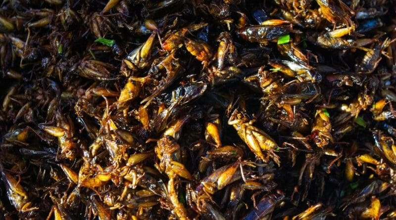 Un om care a murit de constipație acum peste 1.000 de ani a mâncat doar lăcuste în ultimele luni de viață