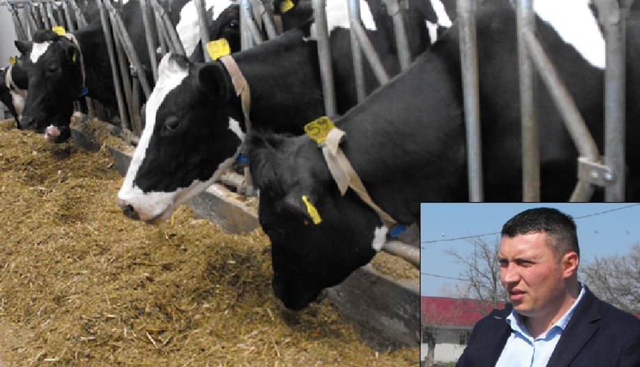 Fermier român: Sectorul fermelor de vaci din România este distrus ...